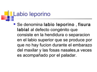 Labio leporino
 Se denomina labio leporino , fisura
labial al defecto congénito que
consiste en la hendidura o separacion
en el labio superior que se produce por
que no hay fucion durante el embarazo
del maxilar y las fosas nasales,a veces
es acompañado por el paladar.
 