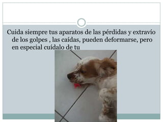 Debes higienizarlo con un cepillo duro que usarás exclusivamente con tu aparato, no podrás compartirlo con miembros de la familia que también usen aparatosNunca lo dejes envuelto en servilletas o pañuelos de papel porque lo más probable es que terminen