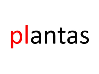 plantas