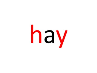 hay
