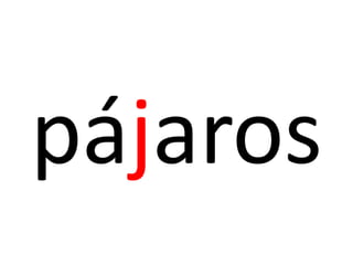 pájaros
 