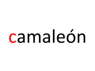 camaleón