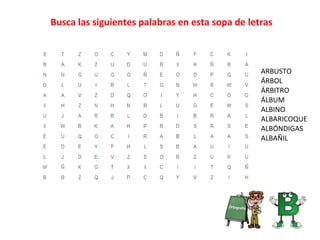 Busca las siguientes palabras en esta sopa de letras
ARBUSTO
ÁRBOL
ÁRBITRO
ÁLBUM
ALBINO
ALBARICOQUE
ALBÓNDIGAS
ALBAÑIL
 