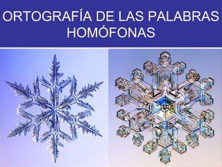ORTOGRAFÍA DE LAS PALABRAS
HOMÓFONAS

 