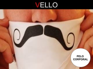 VELLO

PELO
CORPORAL

 