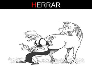 HERRAR

 