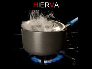 HIERVA

 