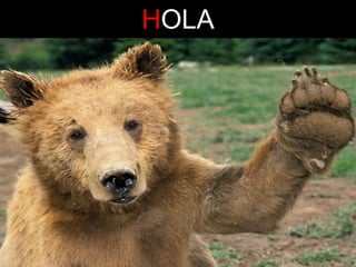 HOLA

 