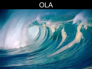 OLA

 