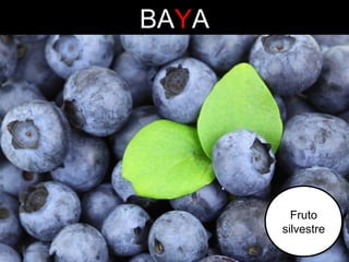 BAYA

Fruto
silvestre

 