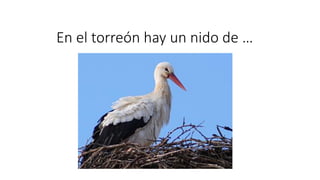 En el torreón hay un nido de …
