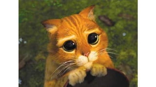 Ortografía, primer trimestre