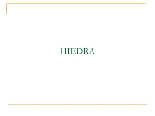 HIEDRA

 