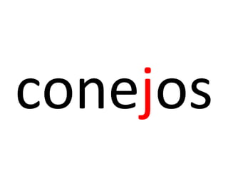 conejos
 