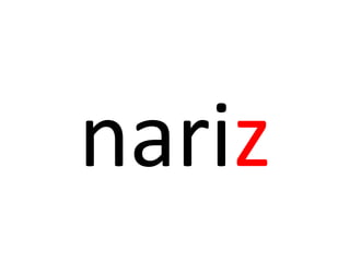 nariz