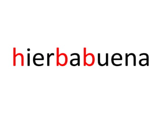 hierbabuena
 