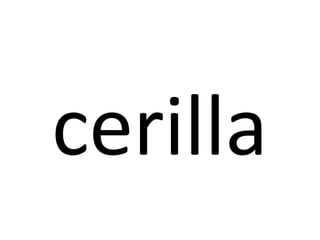cerilla
 