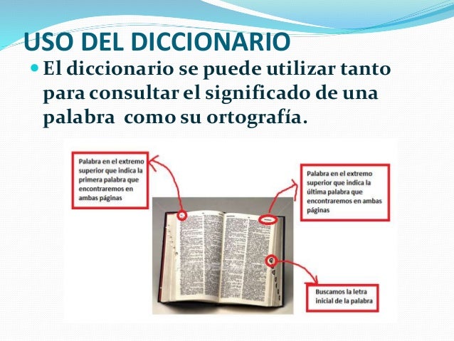 Ortograficas y uso del diccionario