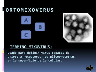 Ortomixovirus | PPTX