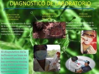 DIAGNOSTICO DE LABORATORIO
REACCION EN
CADENA DE LA
POLIMERASA
AISLAMIENTO E
IDENTIFICACION
DEL VIRUS
ANALISIS
SEROLOGICO
basadas en la detección de RNA
de la influenza en especímenes
clínicos utilizando la reacción en
cadena de la polimerasa con
transcriptasa inversa
basadas en la inhibición de la
hemaglutinación y análisis de
inmunosorbente ligado a enzimas
(ELISA)
 