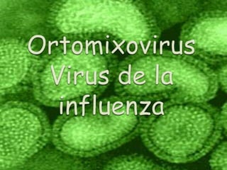Ortomixovirus yo