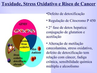 Toxidade, Stress Oxidativo e Risco de Cancer Defeito de detoxificação Regulação de Citocromo P 450 2 ° fase de detox hepatica: conjugação de glutation e acetilação Alteração de metilação catecolamina, stress oxidativo, defeito de detoxificação tem relação com câncer, fadiga  crônica, sensibilidade química múltipla e alcoolismo 