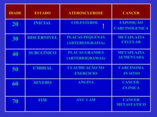 IDADE ESTADO ATEROSCLEROSE CANCER 20 INICIAL COLESTEROL  EXPOSIÇÃO CARCINOGENICA 30 DISCERNIVEL PLACAS PEQUENAS (ARTEREOGRAFIA) METAPLAZIA CELULAR 40 SUBCLINICO PLACAS GRANDES (ARTERIOGRAMAS) METAPLAZIA AUMENTADA 50 UMBRAL CLAUDICAÇÃO NO EXERCICIO CARCINOMA IN SITIO 60 SEVERO ANGINA CANCER  CLINICA 70 FIM AVC 1 AM CANCER METASTATICO 