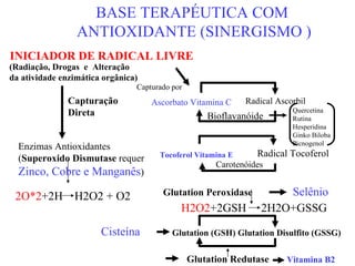  BASE TERAPÉUTICA COM ANTIOXIDANTE (SINERGISMO ) INICIADOR DE RADICAL LIVRE (Radiação, Drogas  e  Alteração da atividade enzimática orgânica) Capturação  Direta  Enzimas Antioxidantes ( Superoxido Dismutase  requer  Zinco, Cobre e Manganês ) Capturado por Ascorbato Vitamina C Radical Ascorbil Radical Tocoferol 2O*2 +2H  H2O2 + O2 Glutation Peroxidase  Selênio H2O2 +2GSH  2H2O+GSSG Cisteína  Glutation (GSH) Glutation Disulfito (GSSG) Glutation Redutase  Vitamina B2 Carotenóides  Tocoferol Vitamina E Bioflavanóide  Quercetina Rutina  Hesperidina Ginko Biloba Picnogenol 
