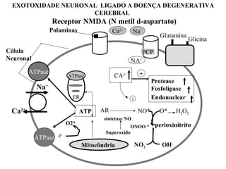 EXOTOXIDADE NEURONAL  LIGADO A DOENÇA DEGENERATIVA CEREBRAL  Receptor NMDA (N metil d-aspartato) Na + Mitocôndria   ATPase ATPase ATPase ATP CA 2+ NA + Protease Fosfolipase Endonuclear   Glutamina  Glicina  + + ER PCP Ca 2+ Na + Ca 2+ AR NO*  O* H 2 O 2 sintetase NO Superoxido perioxinitrito ONOO * OH - NO 2 - e - O2* Célula Neuronal Polaminas 