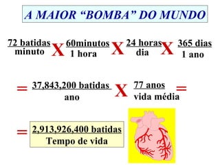 72 batidas minuto X 60minutos 1 hora 24 horas dia X X 365 dias 1 ano 37,843,200 batidas  ano X 77 anos vida média = = = 2,913,926,400 batidas Tempo de vida A MAIOR “BOMBA” DO MUNDO 