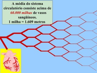 A média do sistema circulatório consiste acima de  60.000 milhas  de vasos sangüíneos. 1 milha = 1.609 metros  