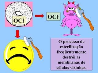 OCl - O processo de esterilização freqüentemente destrói as membranas de células vizinhas. OCl - 