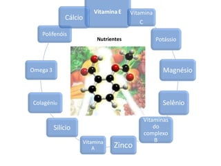 Nutrientes
 