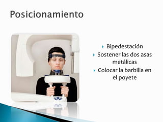  Bipedestación
 Sostener las dos asas
metálicas
 Colocar la barbilla en
el poyete
 