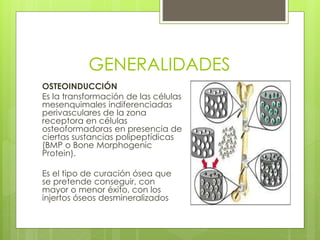 GENERALIDADES
OSTEOINDUCCIÓN
Es la transformación de las células
mesenquimales indiferenciadas
perivasculares de la zona
receptora en células
osteoformadoras en presencia de
ciertas sustancias polipeptídicas
(BMP o Bone Morphogenic
Protein).
Es el tipo de curación ósea que
se pretende conseguir, con
mayor o menor éxito, con los
injertos óseos desmineralizados
 