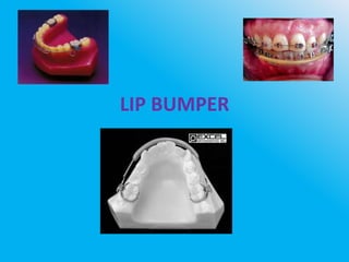 LIP BUMPER
 