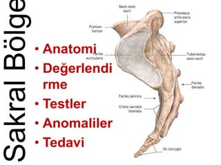 SakralBölg
• Anatomi
• Değerlendi
rme
• Testler
• Anomaliler
• Tedavi
 