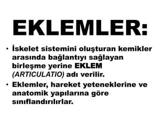 EKLEMLER:
• İskelet sistemini oluşturan kemikler
arasında bağlantıyı sağlayan
birleşme yerine EKLEM
(ARTICULATIO) adı verilir.
• Eklemler, hareket yeteneklerine ve
anatomik yapılarına göre
sınıflandırılırlar.
 