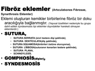 Fibröz eklemler (Artıculatıones Fıbrosae,
Synarthrosis Eklemler)
Eklemi oluşturan kemikler birbirlerine fibröz bir doku
aracılığıyla bağlanmıştır. (Yapısal özellikleri nedeniyle bu grupa
dahil edilen syndesmosis tipi eklemler dışındakiler hareketi olmayan
eklemlerdir.)
• SUTURA,
• SUTURA SERRATA (sivri testere dişi şeklinde),
• SUTURA DENTİCULATA(diş şeklinde),
• SUTURA SQUAMOSA(birbirleri üstüne oturuyorsa),
• SUTURA LİBBOSA(suturanın kenarları testere şeklinde),
• SUTURA PLANA,
• SCHINDYLESİS.
• GOMPHOSİS(dişler),
• SYNDESMOSİS
 
