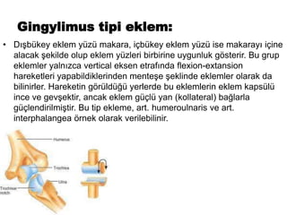 Gingylimus tipi eklem:
• Dışbükey eklem yüzü makara, içbükey eklem yüzü ise makarayı içine
alacak şekilde olup eklem yüzleri birbirine uygunluk gösterir. Bu grup
eklemler yalnızca vertical eksen etrafında flexion-extansion
hareketleri yapabildiklerinden menteşe şeklinde eklemler olarak da
bilinirler. Hareketin görüldüğü yerlerde bu eklemlerin eklem kapsülü
ince ve gevşektir, ancak eklem güçlü yan (kollateral) bağlarla
güçlendirilmiştir. Bu tip ekleme, art. humeroulnaris ve art.
interphalangea örnek olarak verilebilinir.
 