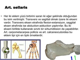 Art. sellaris
• Her iki eklem yüzü birbirini saran iki eğer şeklinde olduğundan
bu isim verilmiştir. Transvers ve sagittal olmak üzere iki ekseni
vardır. Transvers eksen etrafında flexion-extansiyon, saggital
eksen etrafında ise abduction-adduction yaptırırlar. Bu iki
ekseni birlikte kullanarak sınırlı bir sirkumdiksion da yapabilirler.
Art. carpometacarpea pollicis ve art. calcaneocuboidea bu
eklem tipi için en tipik örneklerdir.
 
