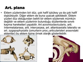 Art. plana
• Eklem yüzlerinden biri düz, çok hafif içbükey ya da çok hafif
dışbükeydir. Diğer eklem de buna uyacak şekildedir. Eklem
yüzleri düz olduğundan belirli bir eklem söylemek mümkün
değildir ve eklem yüzlerinin bulunduğu düzlemlerde sınırlı
kayma hareketleri yapabilir. Art acromioclavicularis, artt.
Intermetatarsea, artt. intercarpea, art. atlantoaxialis lateralis ve
art. zygapophysialis (omurların proc. articularisleri arasındaki
eklemler) bu eklem tipine örnek olarak gösterilebilir.
 