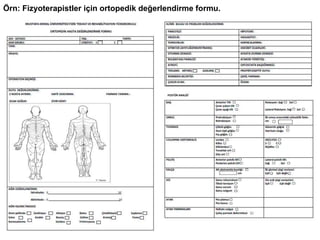 Örn: Fizyoterapistler için ortopedik değerlendirme formu.
 