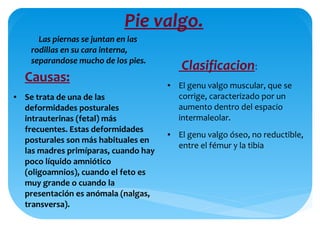 Pie valgo.
Las piernas se juntan en las
rodillas en su cara interna,
separandose mucho de los pies.
Causas:
● Se trata de una de las
deformidades posturales
intrauterinas (fetal) más
frecuentes. Estas deformidades
posturales son más habituales en
las madres primíparas, cuando hay
poco líquido amniótico
(oligoamnios), cuando el feto es
muy grande o cuando la
presentación es anómala (nalgas,
transversa).
Clasificacion:
● El genu valgo muscular, que se
corrige, caracterizado por un
aumento dentro del espacio
intermaleolar.
● El genu valgo óseo, no reductible,
entre el fémur y la tibia
 