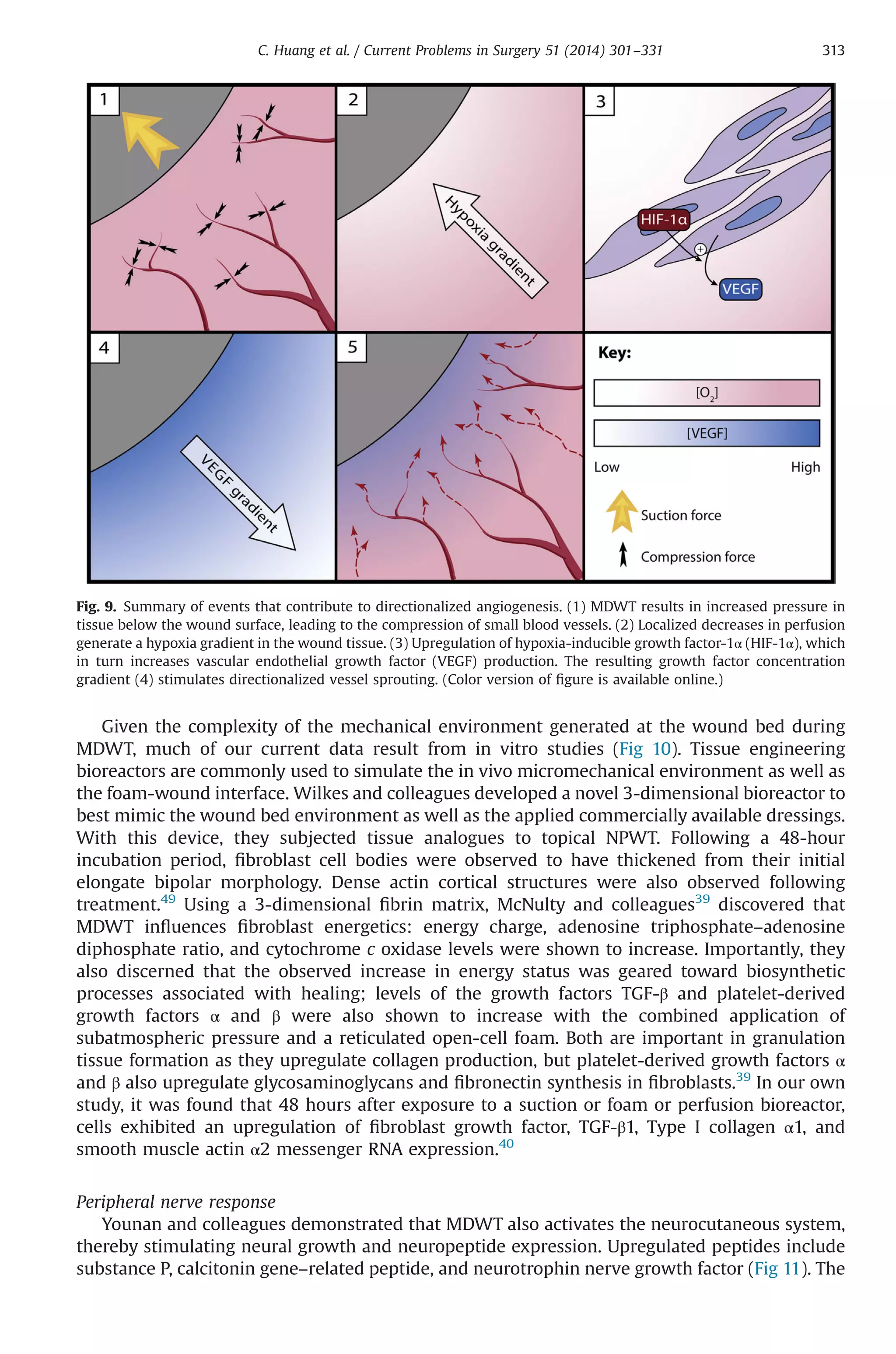 effect of negative pressure wound therapy on wound healing | PDF