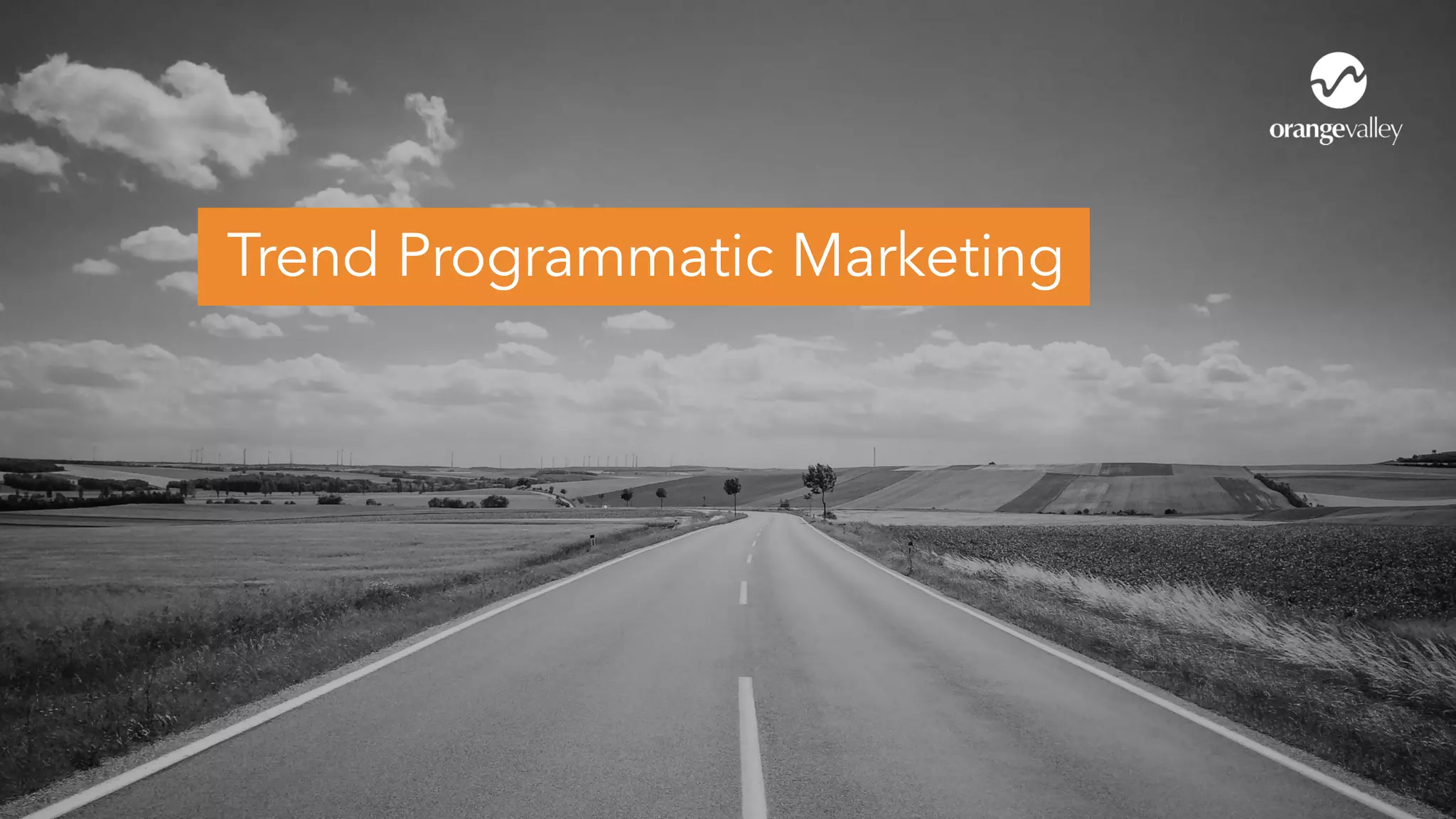 Trend Programmatic Marketing
 