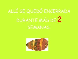 ALLÍ SE QUEDÓ ENCERRADA DURANTE MÁS DE  2  SEMANAS. 