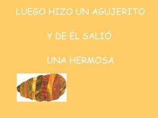 LUEGO HIZO UN AGUJERITO Y DE ÉL SALIÓ  UNA HERMOSA 