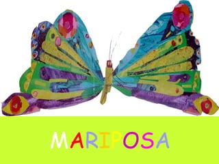 M A R I P O S A 