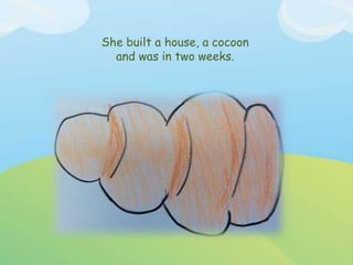 She built a house, a cocoon
and was in two weeks.
 